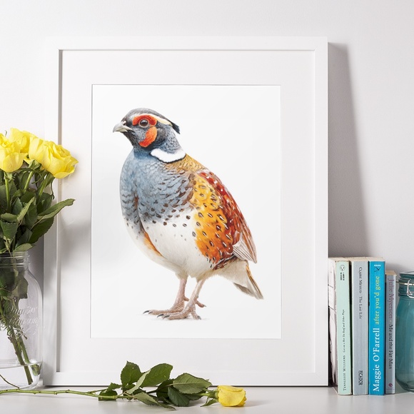 Watercolor Quail Wall Art Print, Unframed - Vibrant Nature-Inspired Home Decor - Picture 6 of 6